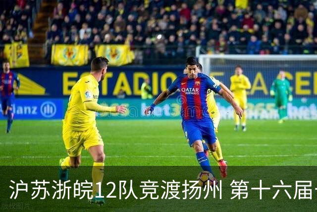 沪苏浙皖12队竞渡扬州 第十六届长三角龙舟赛擂鼓开桨